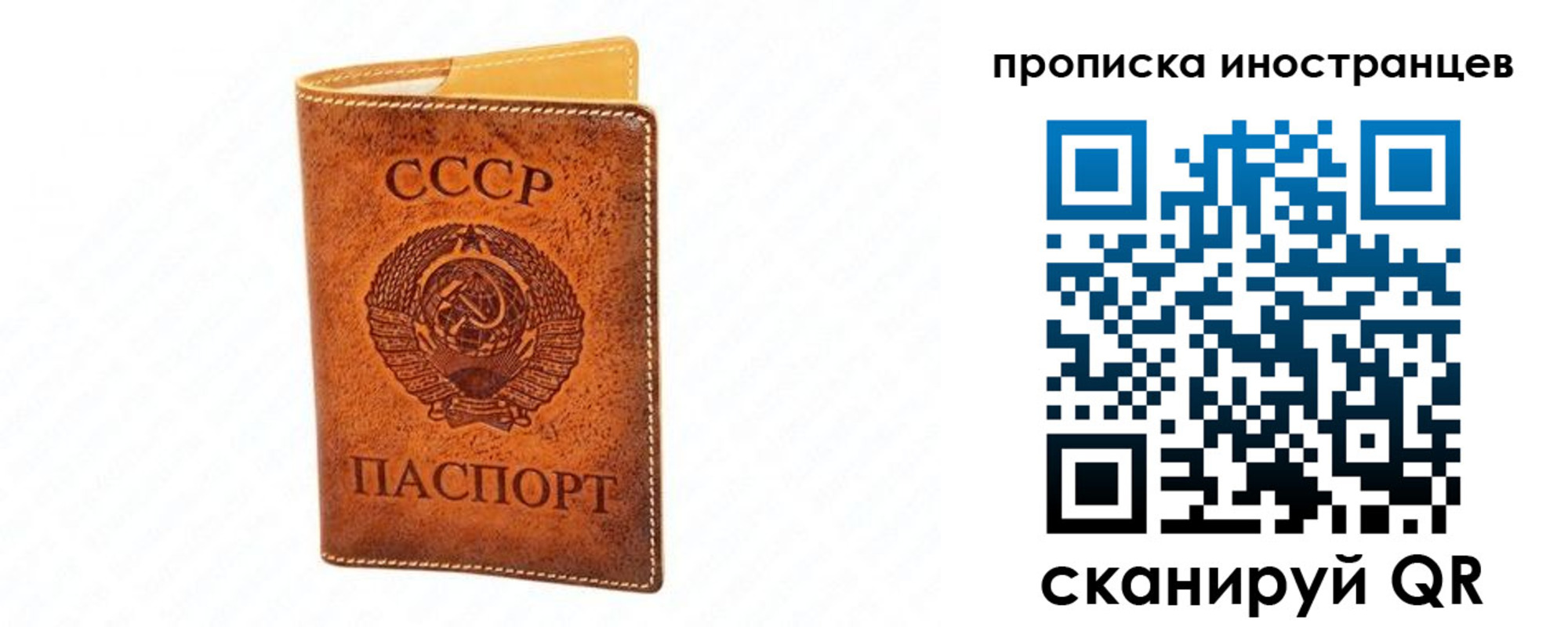 прописка для школы в Оренбурге